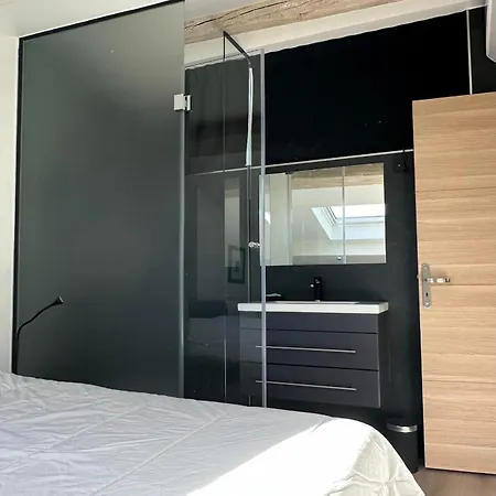 Spacious Bright And Well-decorated Cannes